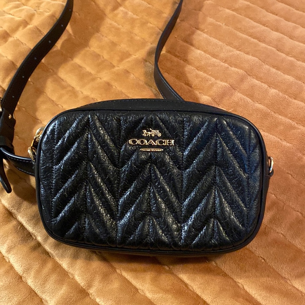 Coach Fanny